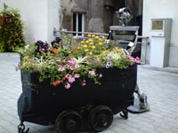 Flowering mining - Ste. Marie 2006